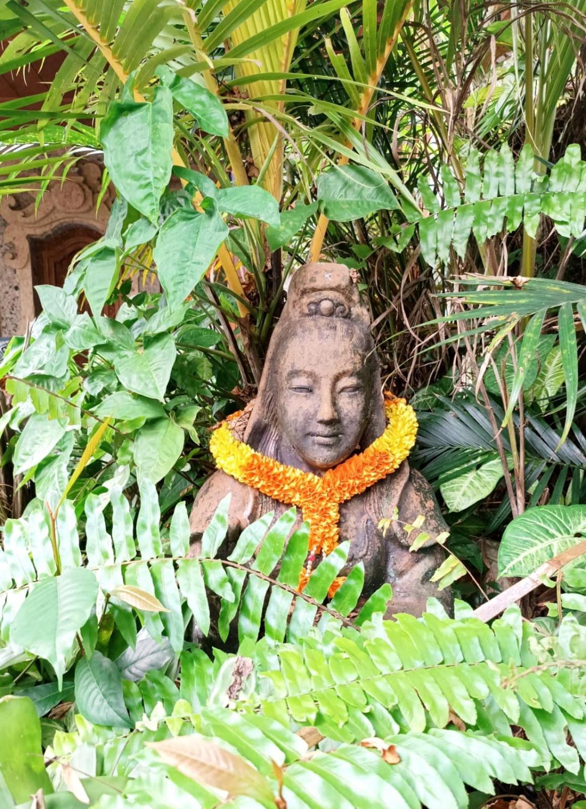 Mandala Blu Wellness Maison d'hôtes Ubud