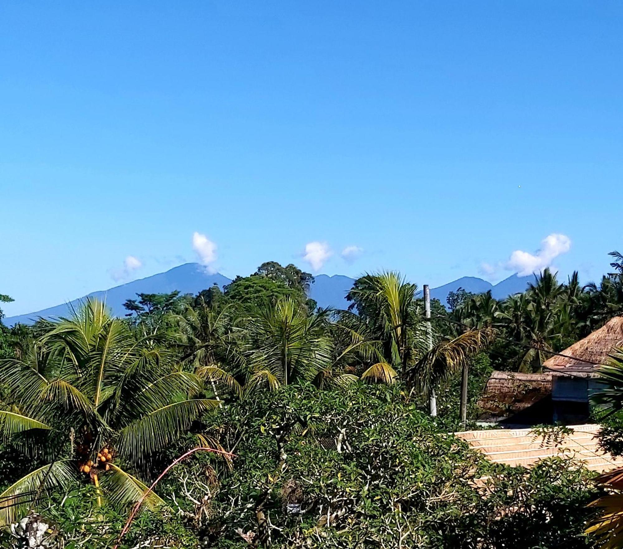 Mandala Blu Wellness * Ubud